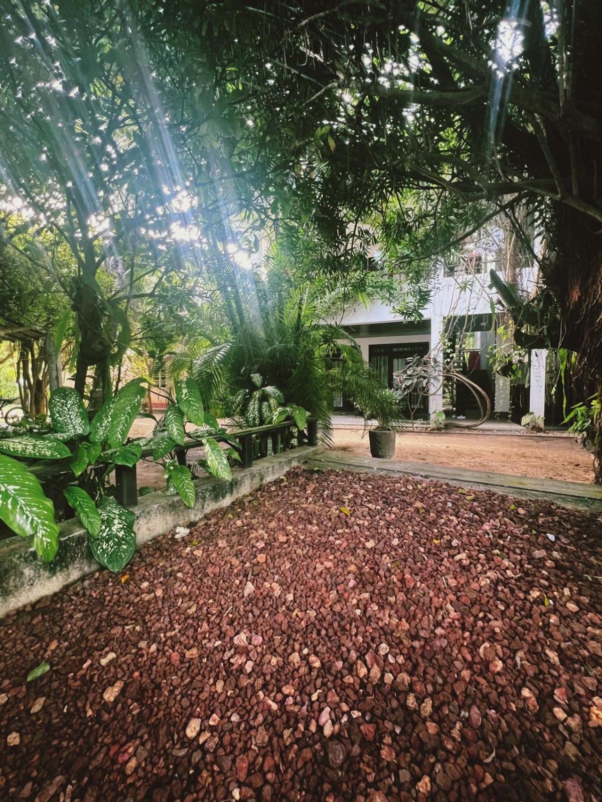 Villa A & A Hikkaduwa Exterior foto